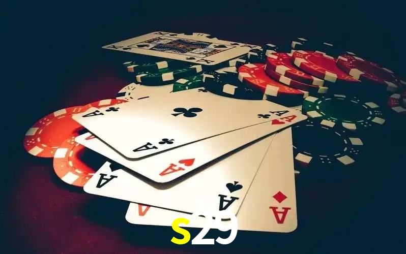 s29 vip